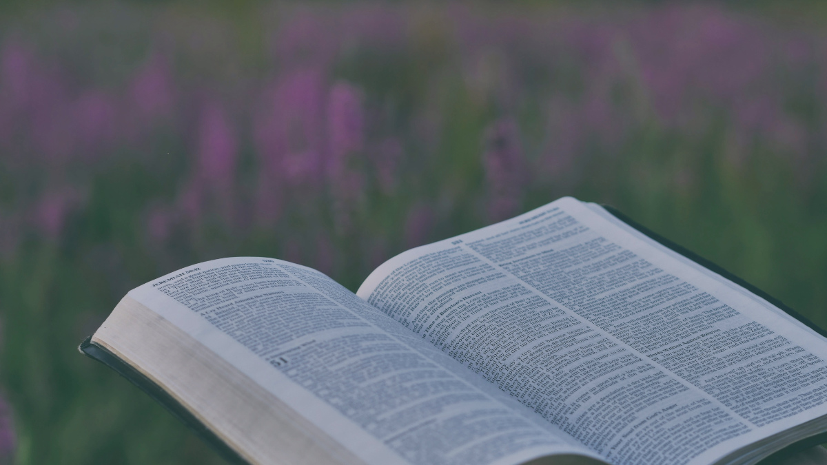 7 steps to a better devo