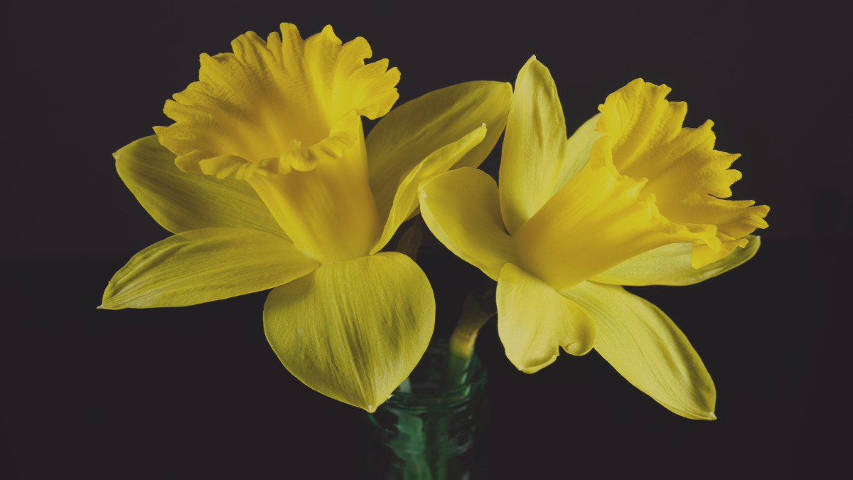 7 Bible verses about truth