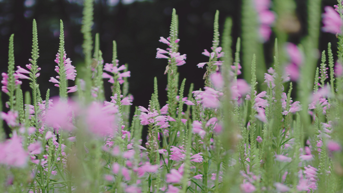 Did you do what God said?